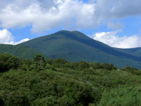 五葉山